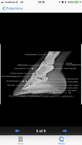 Equine Radiography screenshot 0