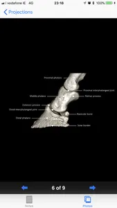 Equine Radiography screenshot 2