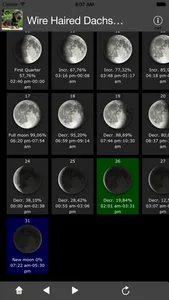 Wire Haired Dachshund screenshot 2