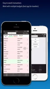 iBudgetPro+ screenshot 1
