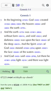 Online Bible screenshot 4