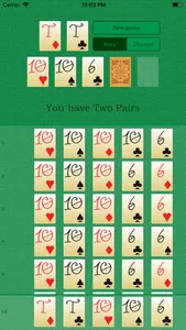 Poker Nuts screenshot 1