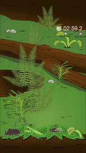 Find The Hidden Insects screenshot 1