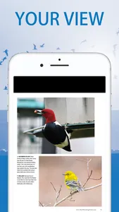 BirdWatching screenshot 3