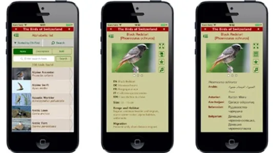 The Birds of Switzerland screenshot 2