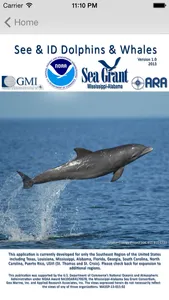 See & ID Dolphins & Whales screenshot 0