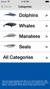 See & ID Dolphins & Whales screenshot 2