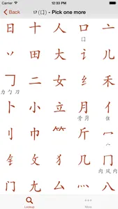 Kangxi Radicals screenshot 1