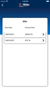 Park Region Telephone Payments screenshot 6