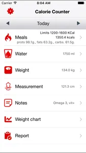 Simplest Calorie Counter screenshot 0