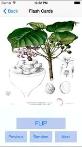 Edible and Poisonous Plants screenshot 1