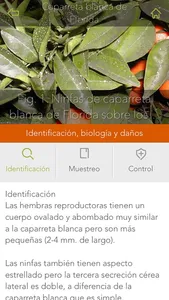 Gipcitricos IVIA screenshot 4