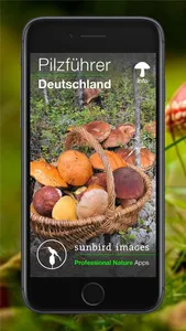Pilzführer Deutschland, Pilze! screenshot 0