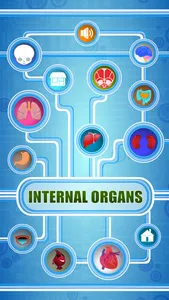 Human Body - Internal Organs screenshot 1