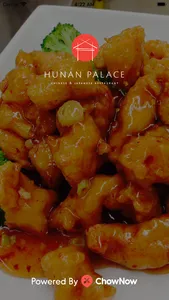 Hunan Palace Restaurant screenshot 0