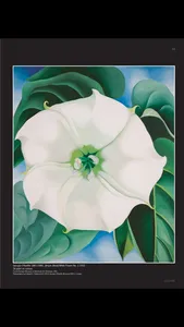 CULTURE Magazine screenshot 4