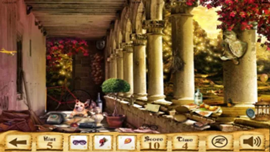 Hidden Objects?? screenshot 2