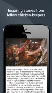 Chickens Magazine screenshot 1