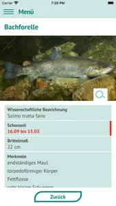 Fische OÖ - Schonbestimmungen screenshot 4