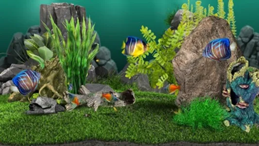 AquaLife 3D screenshot 3