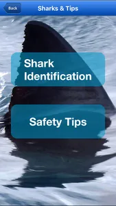 Shark Bytes screenshot 5