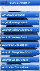 Shark Bytes screenshot 6