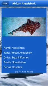 Shark Bytes screenshot 7