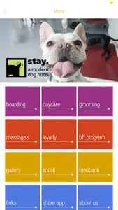 stay. a modern dog hotel screenshot 2