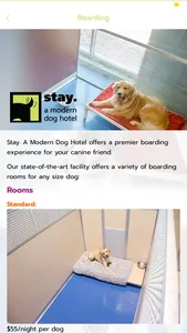 stay. a modern dog hotel screenshot 3