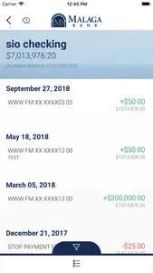Malaga Bank screenshot 3