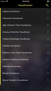 HavaLimanı screenshot 1