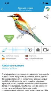 Las Aves de España screenshot 1