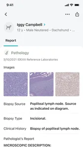 IDEXX VetConnect® PLUS screenshot 4