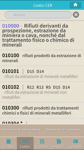 SEMP, Codici CER screenshot 2