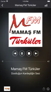 Türkü Radyo screenshot 1