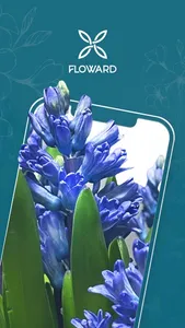 Floward Online Flowers & Gifts screenshot 0