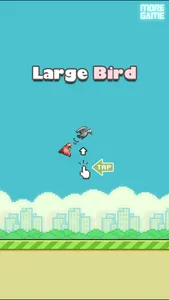 Large Bird screenshot 0