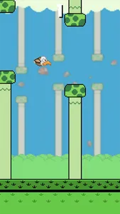 Loopy Bird screenshot 5