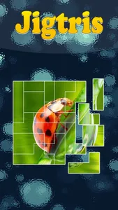 Jigtris Puzzle screenshot 0