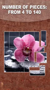 Jigtris Puzzle screenshot 3