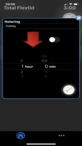 iFlexTime screenshot 1