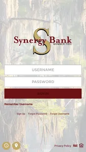 Synergy Bank screenshot 0