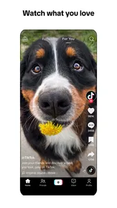 TikTok - Videos, Shop & LIVE screenshot 6