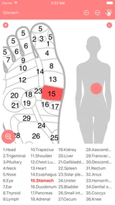 Reflexology Chart (Foot & Hand) screenshot 1