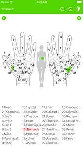 Reflexology Chart (Foot & Hand) screenshot 2