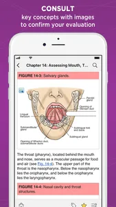 Weber: Nurse Health Assessment screenshot 1