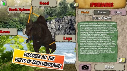 Popar Dinosaurs screenshot 4