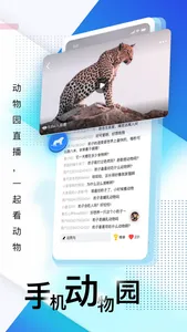 壹深圳——每天开启新深圳 screenshot 2