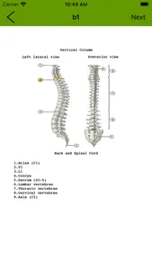 Human Anatomy Flash Cards screenshot 1