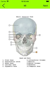 Human Anatomy Flash Cards screenshot 2